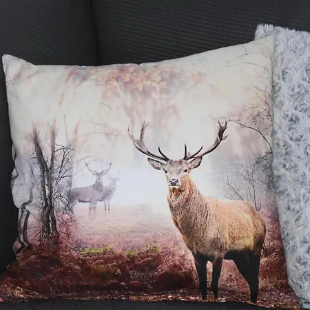 شاليه Karibu دونيغسباشوالد